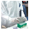 Imagen: Ensayo de vacunas